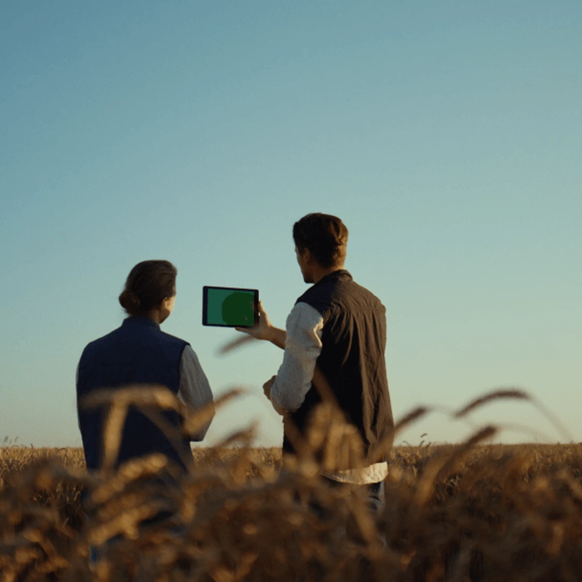 Farm Produce Buyers