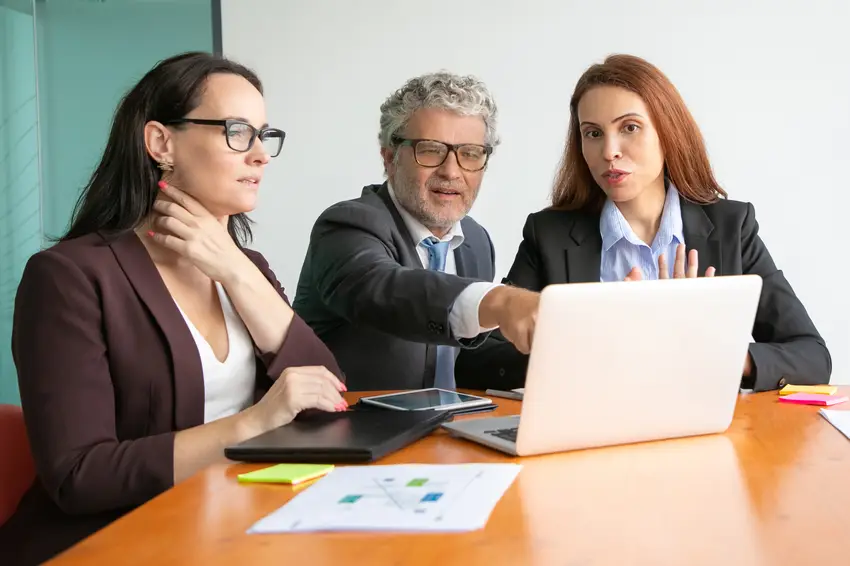Accountants and Auditors