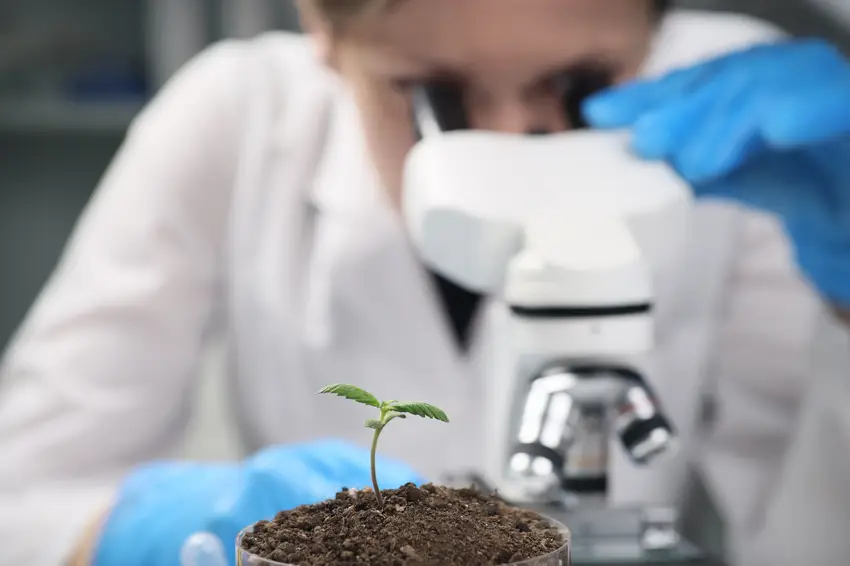 Plant Scientists