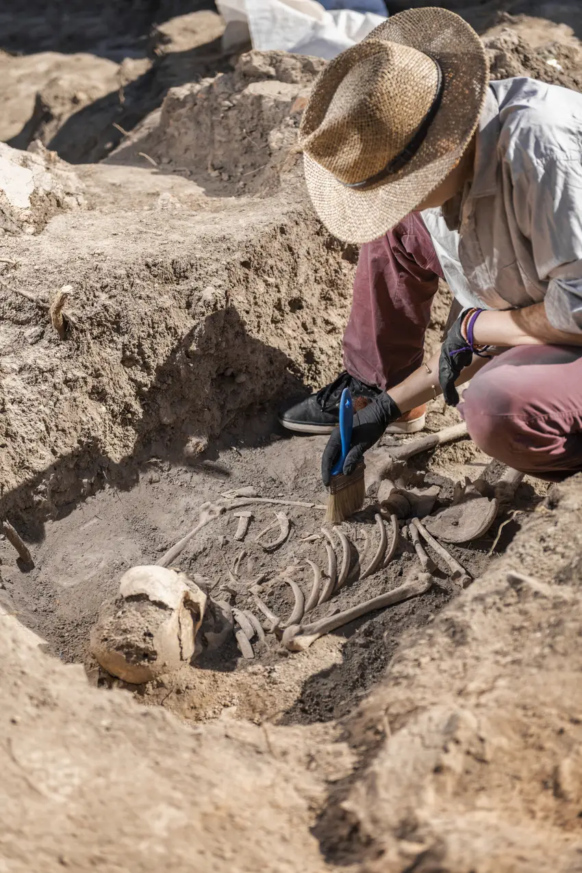 Anthropologists and Archaeologists