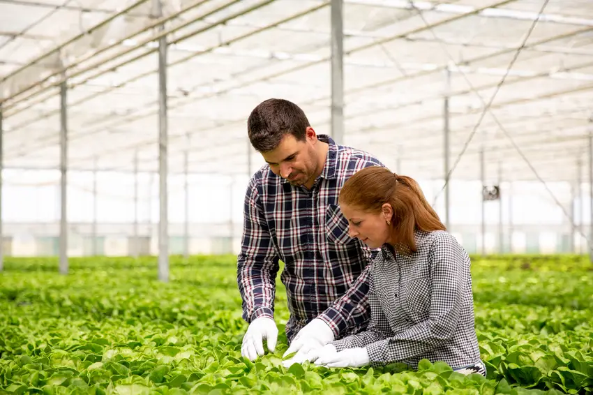 Agricultural Technicians