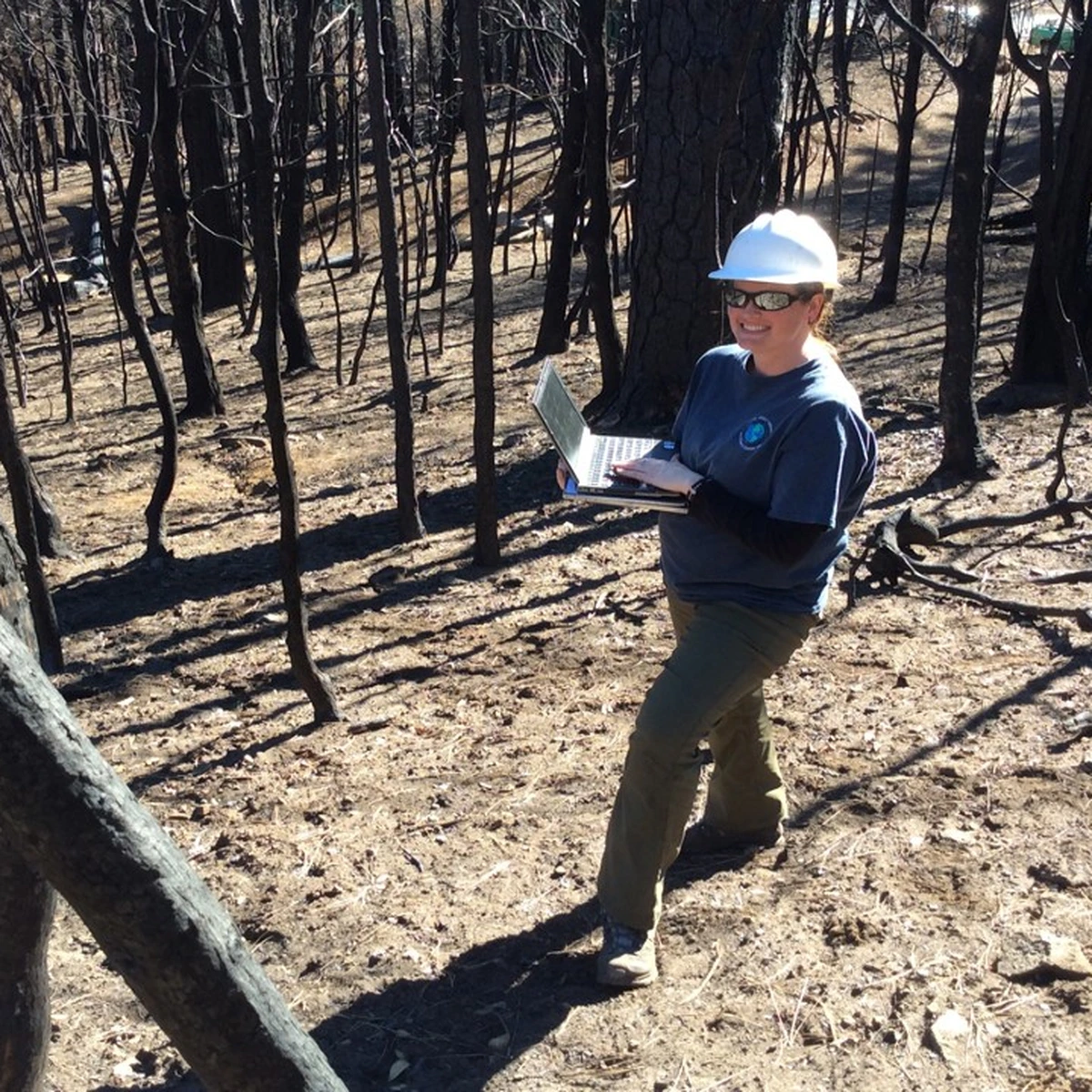 Remote Sensing Technicians