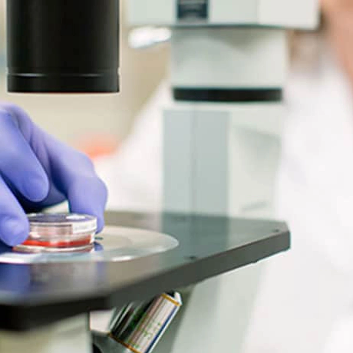 Cytogenetic Technologists