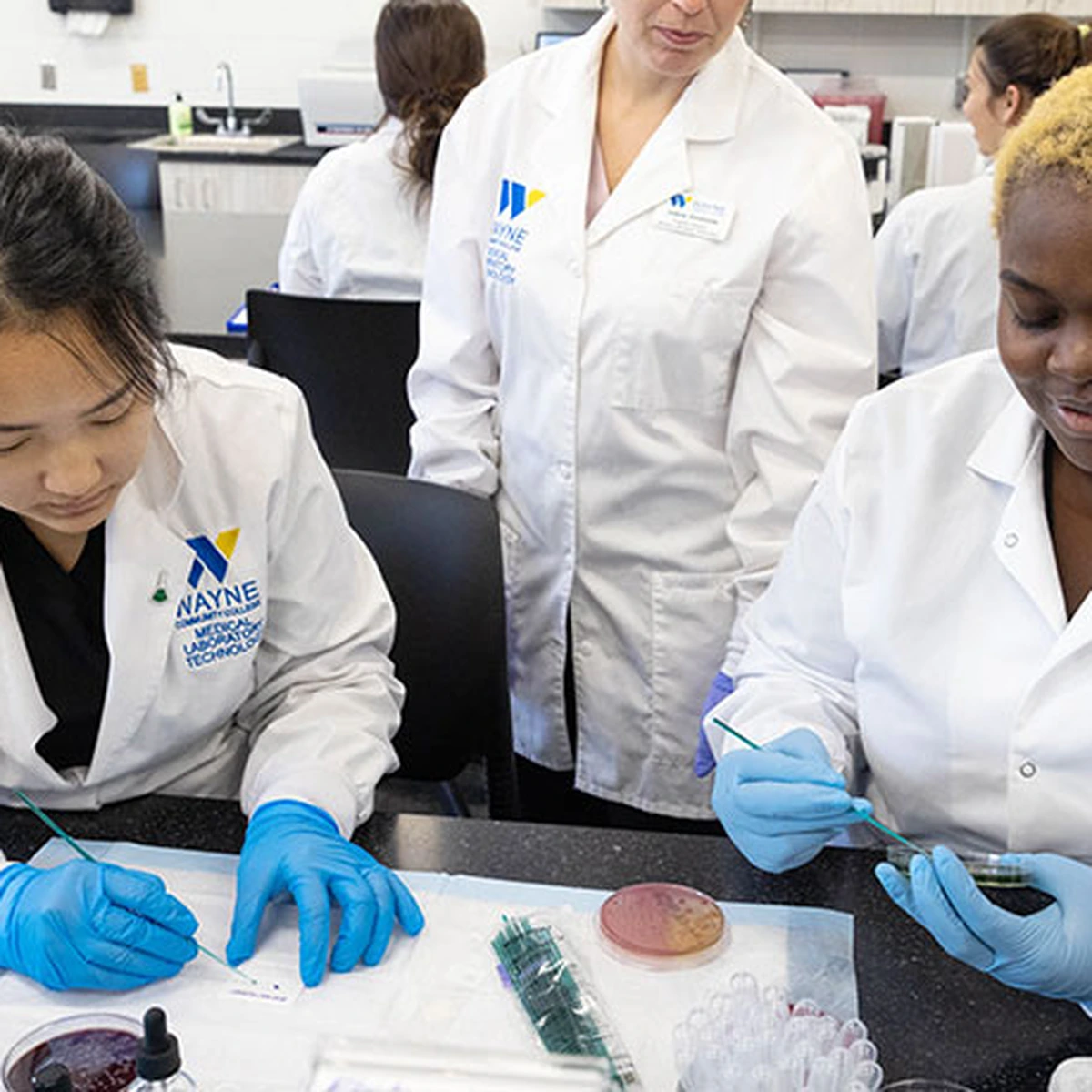 Medical Lab Technicians