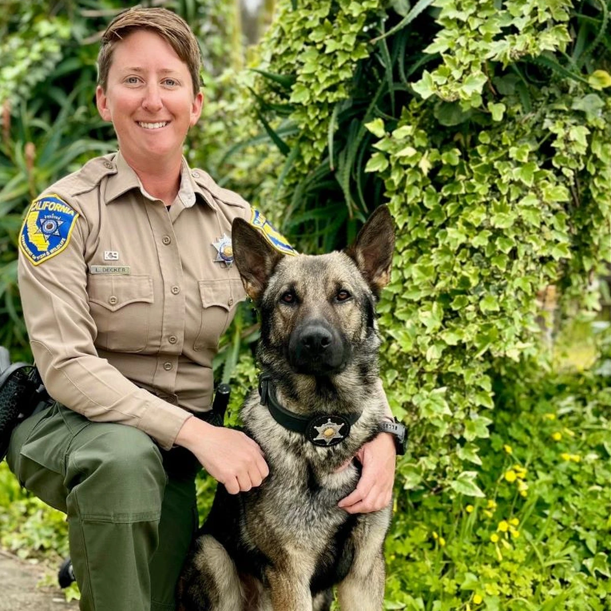 Wildlife Officers