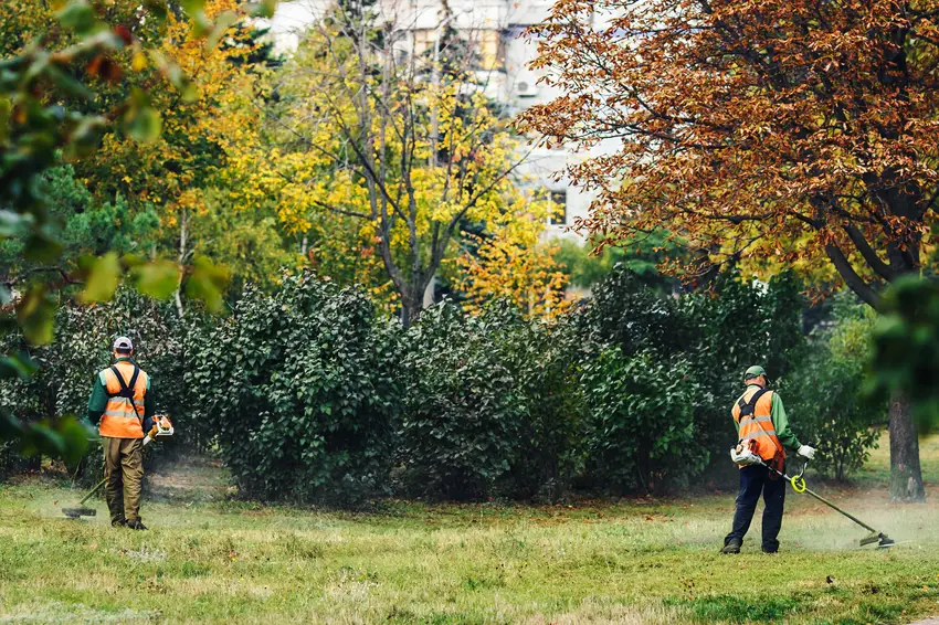 Groundskeepers