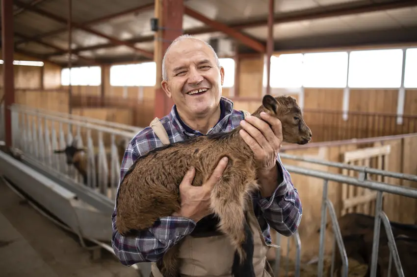 Animal Breeders